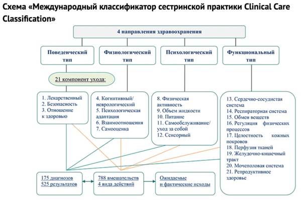 5 этапов сестринского процесса: ТОП-рекомендаций по улучшению работы медсестры
