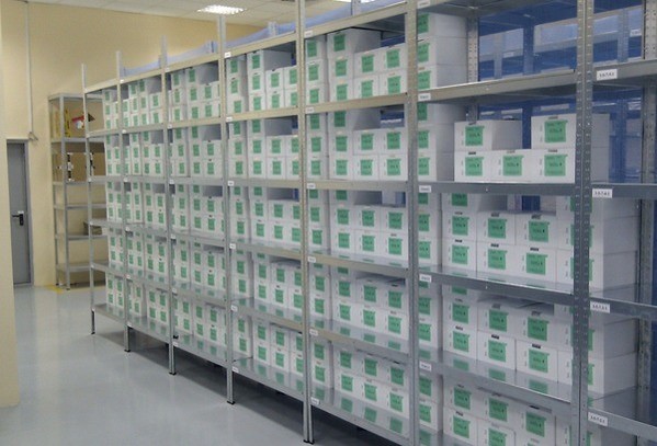 Бейнеде жыныстық қатынасқа түскен шешен әйелдері